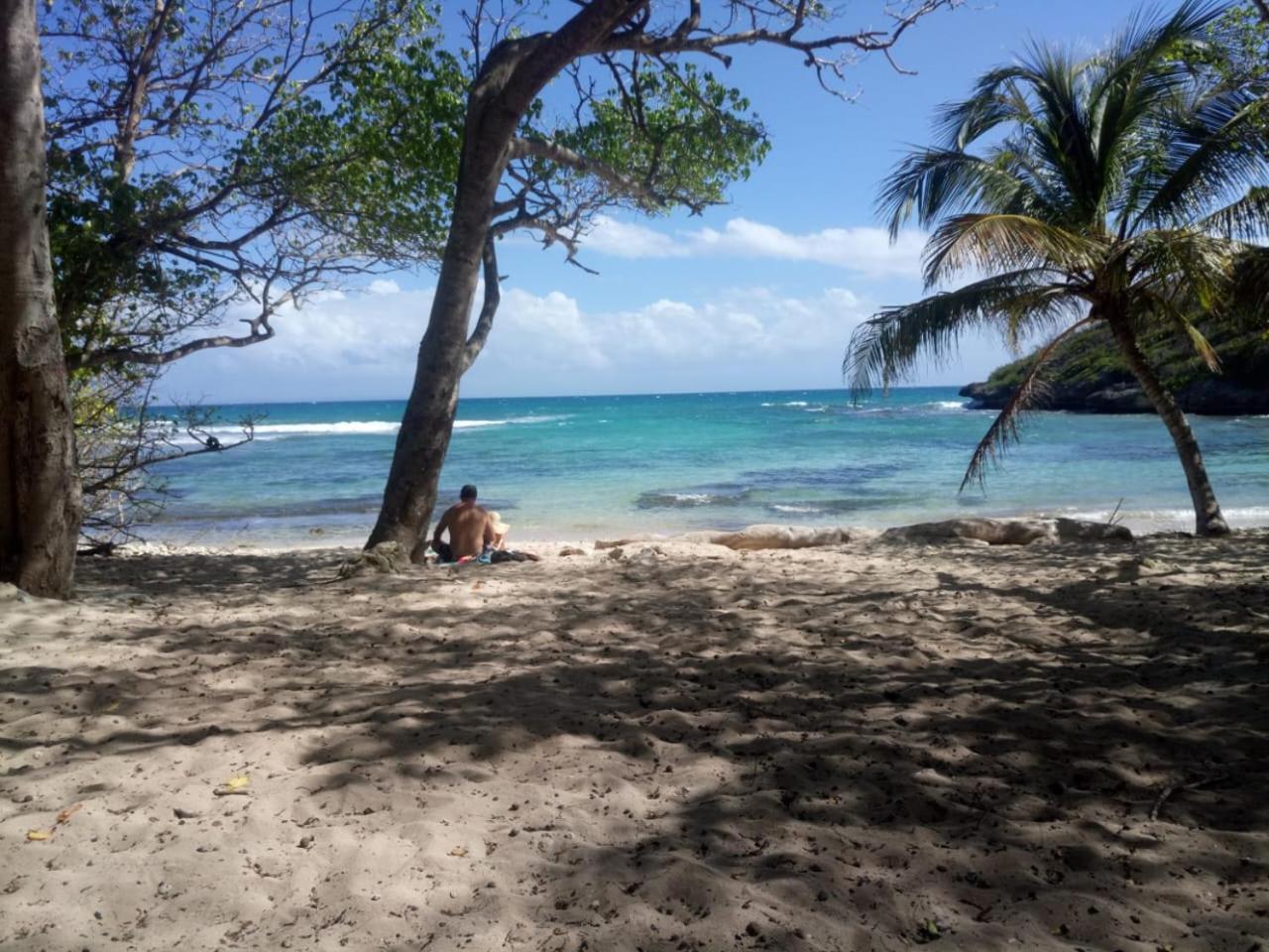 Beau Studio Lumineux Vue Mer Acces Plage Et Piscine Le Gosier  Extérieur photo
